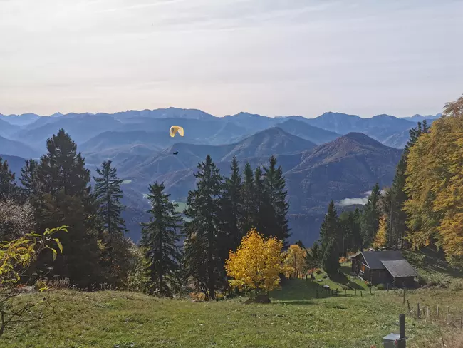 Paragleiter fliegt über den Bäumen in sonniger Berglandschaft