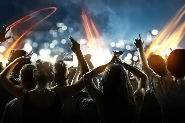 Viele Menschen auf einem Konzert.