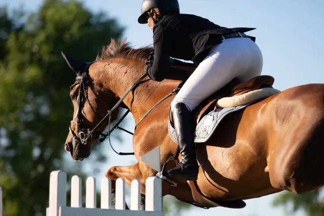 Reiten Springen, Reitsport.