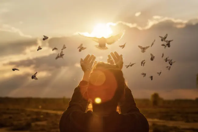 Tauben fliegen in die Hände der Frau auf dem Hintergrund eines sonnigen Sonnenuntergangs während des Gebets.