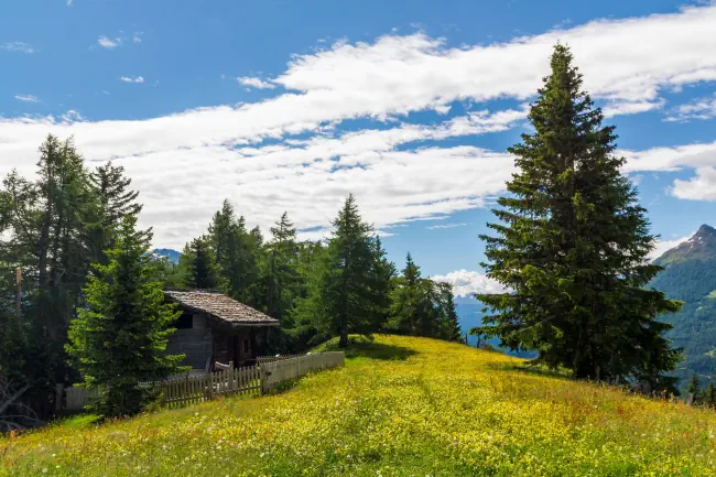 eine alte Berghütte inmitten einer wunderschönen Wiese im Hochtauern Nationalpark nahe Matrei, Osttirol Österreich